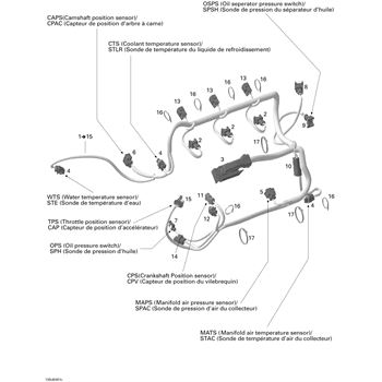 420664056 Sea-Doo Wiring Harness Assembly - Adept Powersports