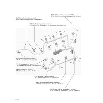 420664056 Sea-Doo Wiring Harness Assembly - Adept Powersports